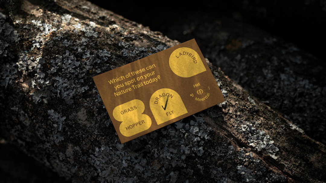 designstudio-center-parcs-europe-graphic-design-itsnicethat-07.jpg
