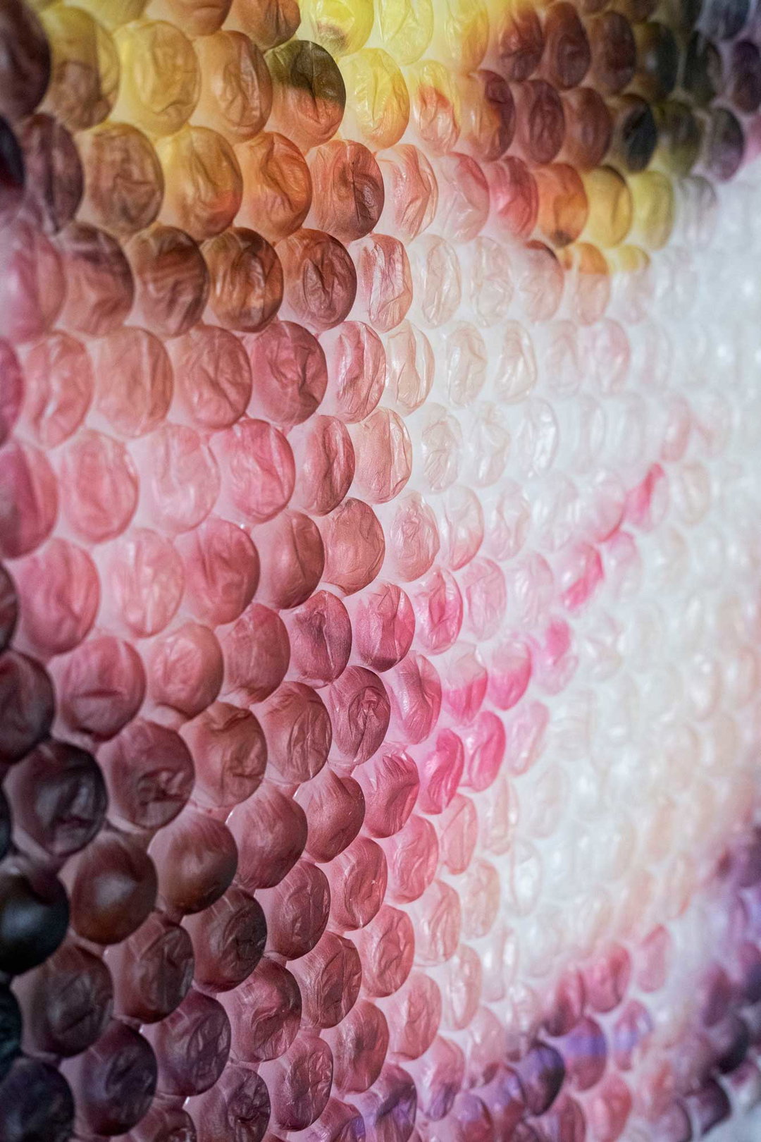 Rosie Clements-Pure Semblance-photography-itsnicethat-16