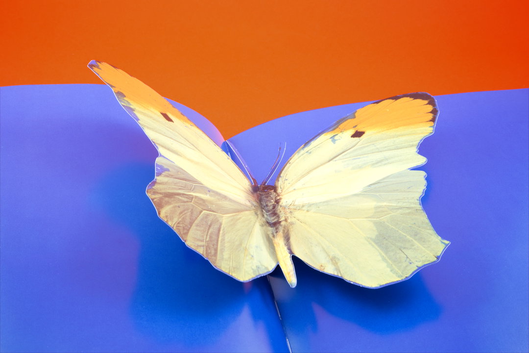 JonathanBarnbrook-DamienHirst-GraphicDesign-itsnicethat.jpg