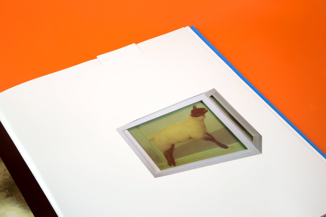 JonathanBarnbrook-DamienHirst-GraphicDesign-itsnicethat.jpg
