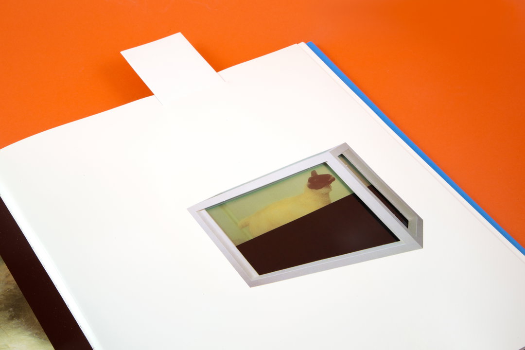 JonathanBarnbrook-DamienHirst-GraphicDesign-itsnicethat.jpg