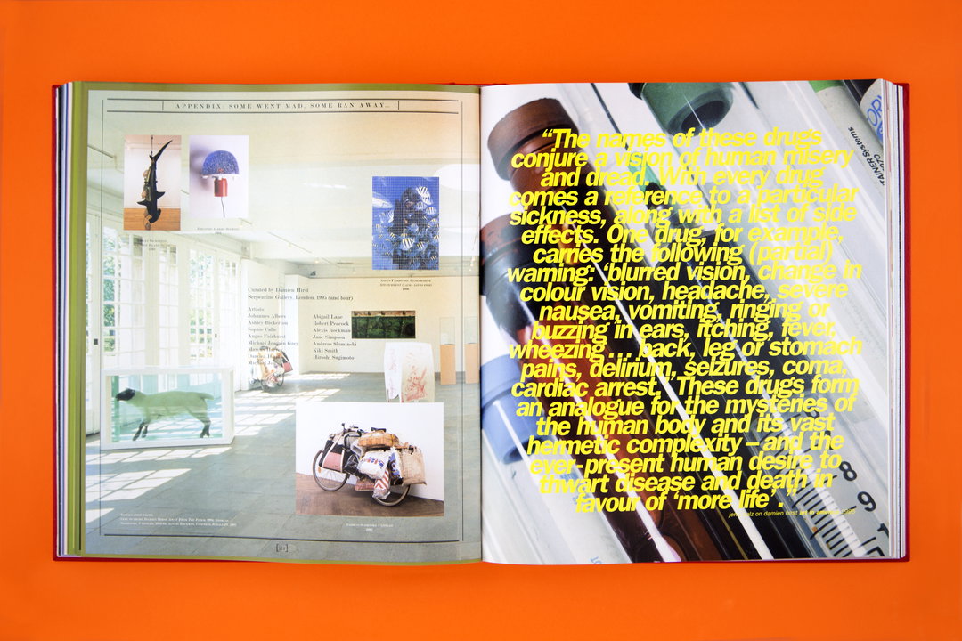 JonathanBarnbrook-DamienHirst-GraphicDesign-itsnicethat.jpg