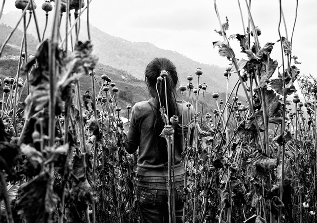 diary-august-2020-art-itsnicethat-6.jpg