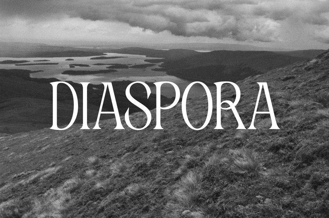 diaspora-good-eggs-type-foundry-work-graphic-design-itsnicethat-1.jpg