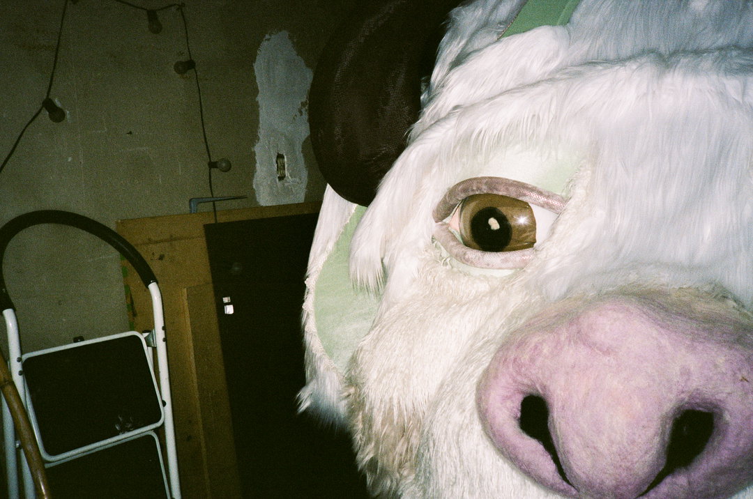 disiniblud-film-itsnicethat0.jpg