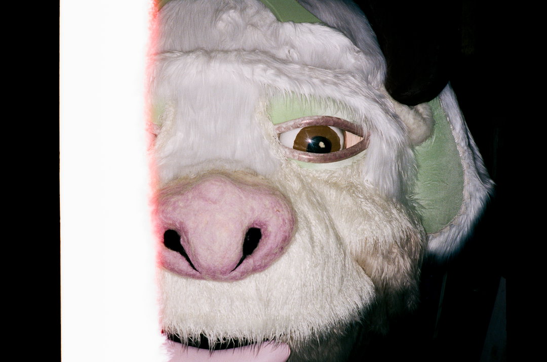 disiniblud-film-itsnicethat1.jpg
