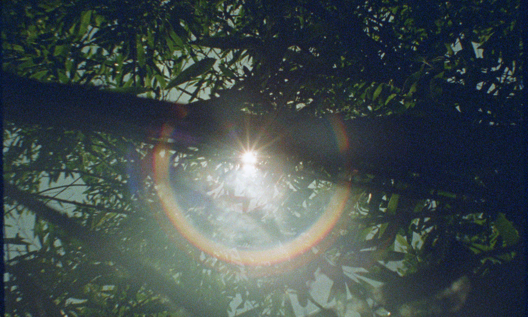 disiniblud-film-itsnicethat1.png