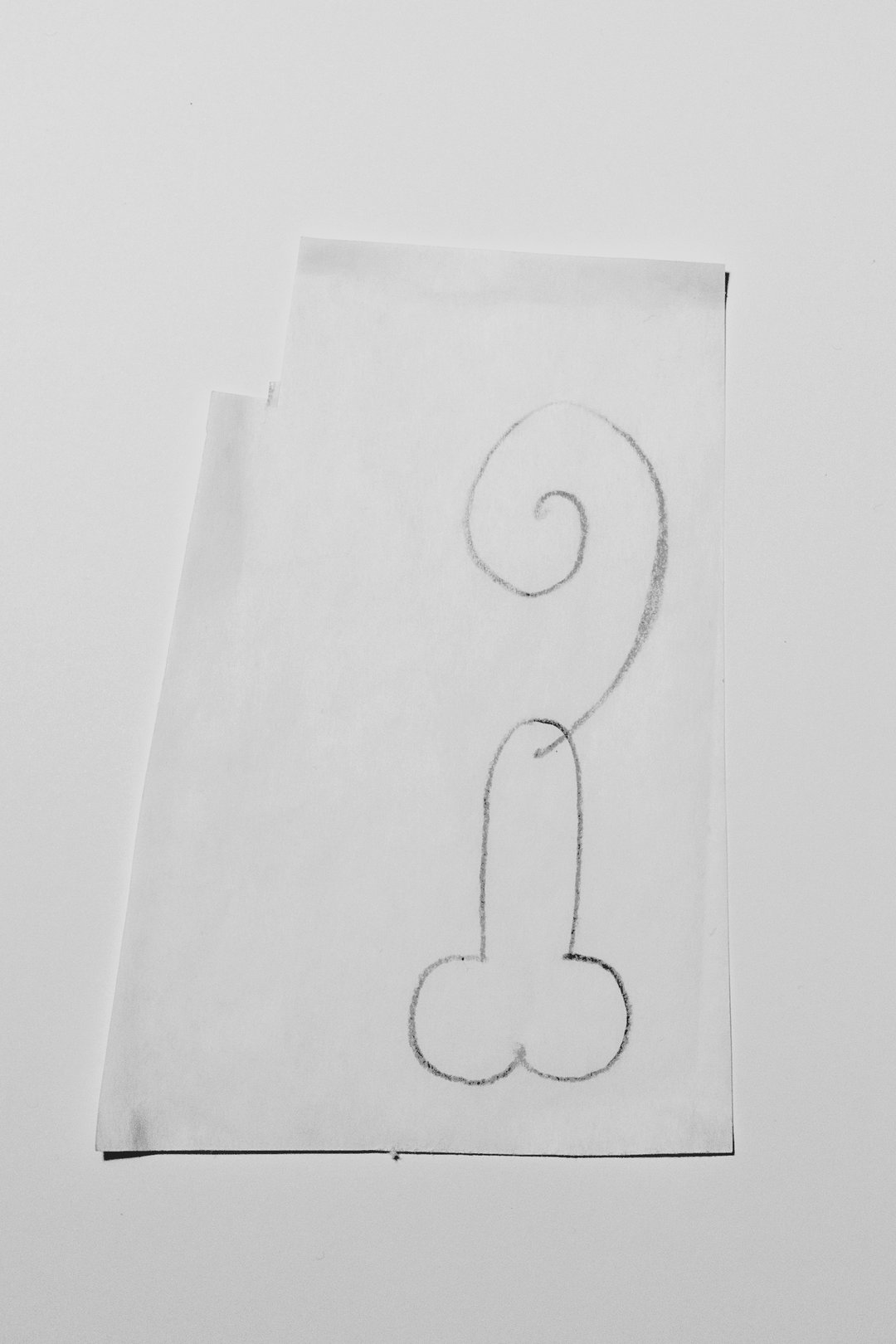 dominic-myatt-penile-papers-publication-itsnicethat-02.jpeg