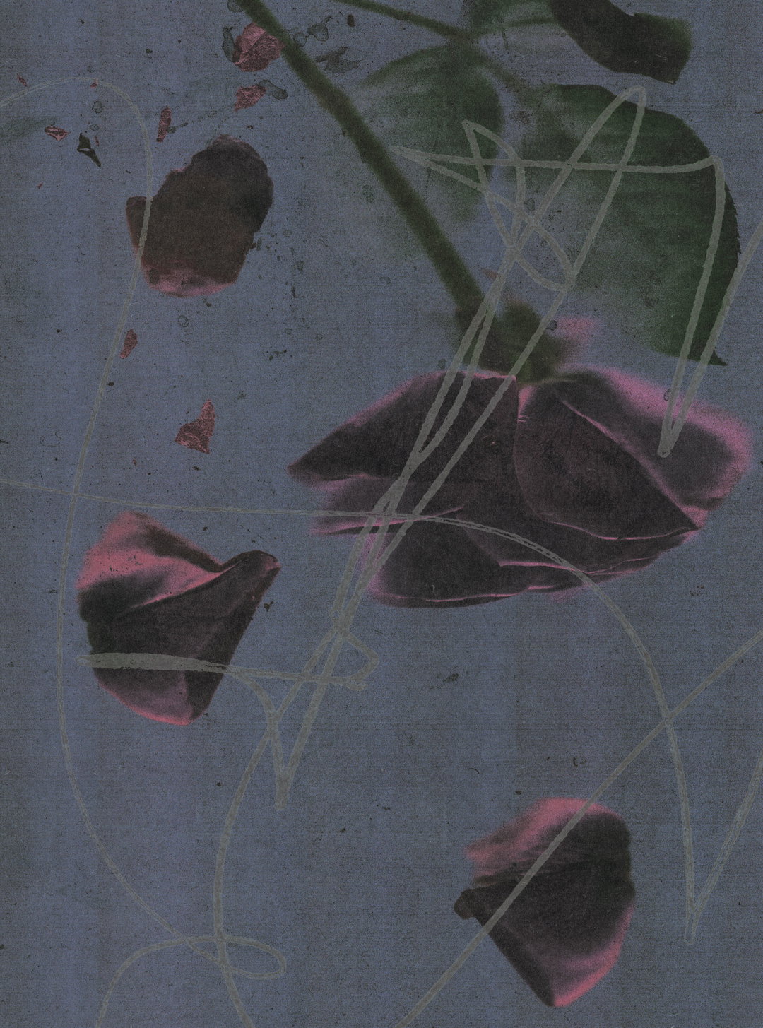 dominique_falcone_FLOWER3.jpg