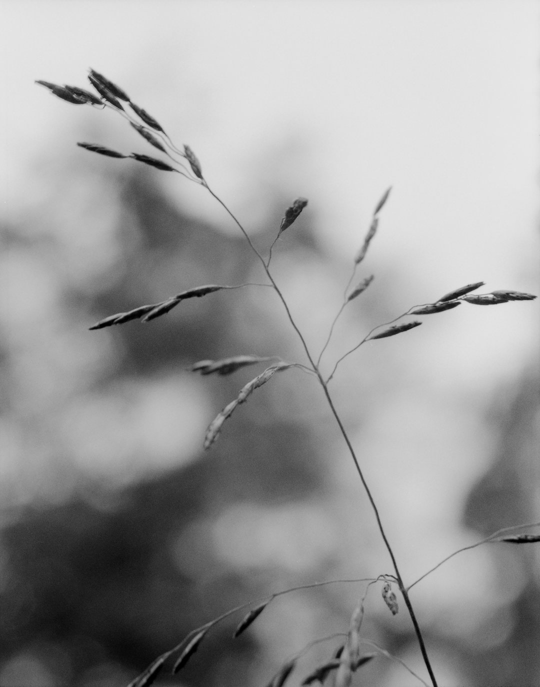 donavon-smallwood-langour-photography-itsnicethat-06.jpg