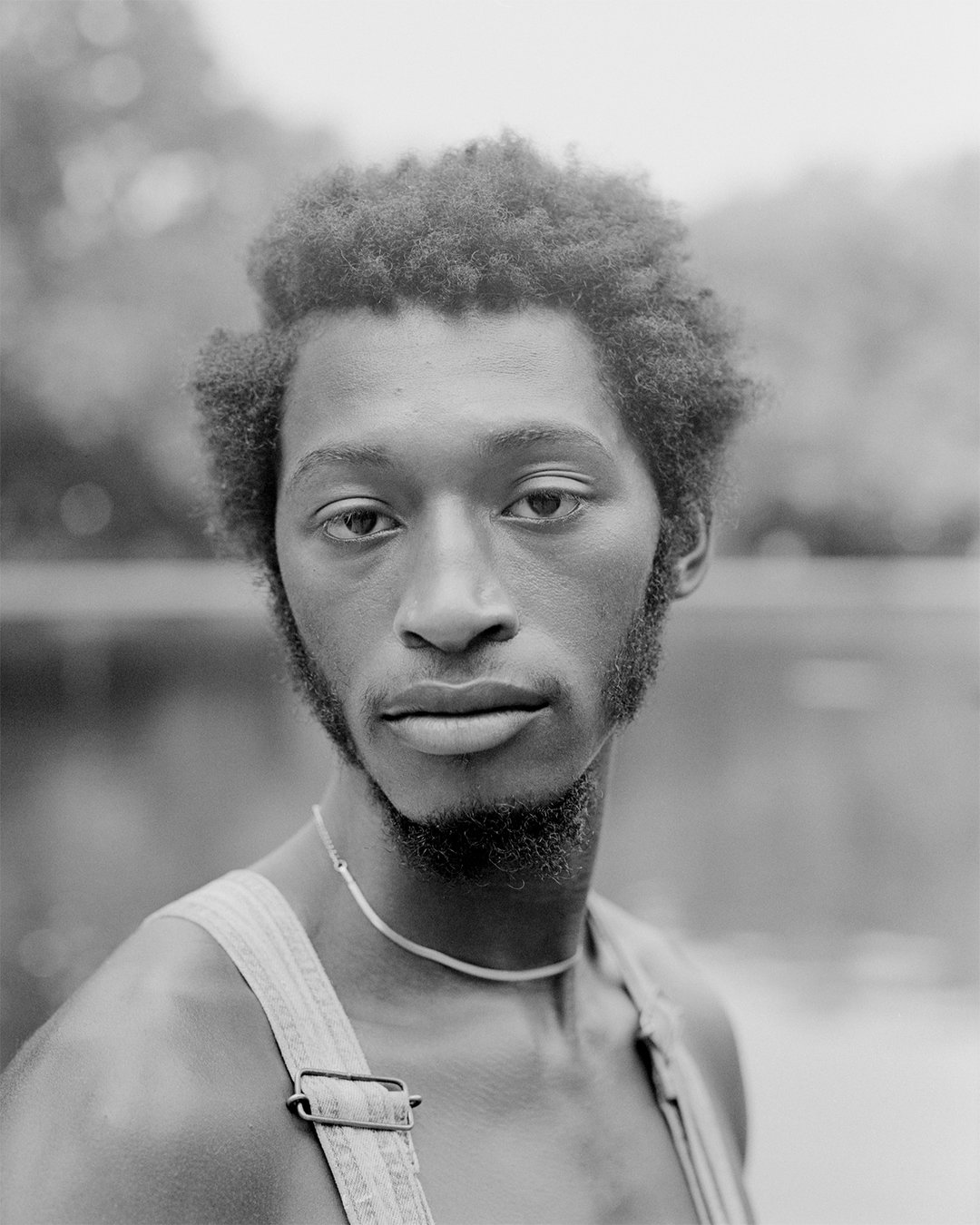 PalmPhotoPrize-Donavon-Smallwood-Photography-itsnicethat.jpg