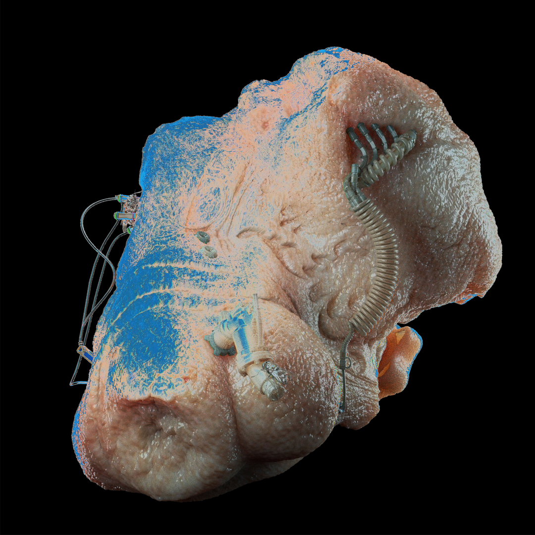 dorairolg 04_beauty skin_grotesque_itsnicethat.jpg