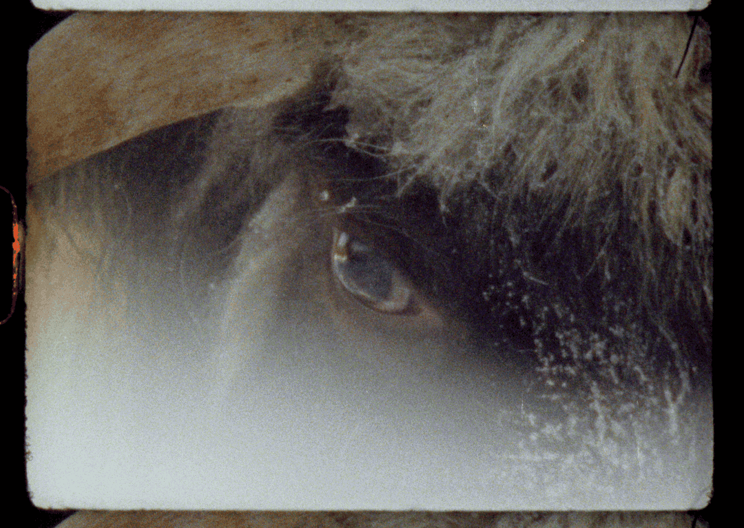 ed-sayers-film-itsnicethat-4.png