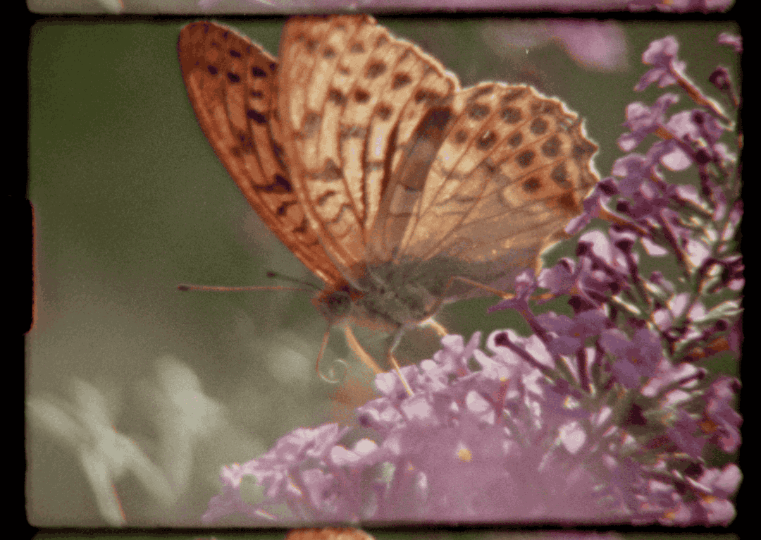 ed-sayers-film-itsnicethat-4.png
