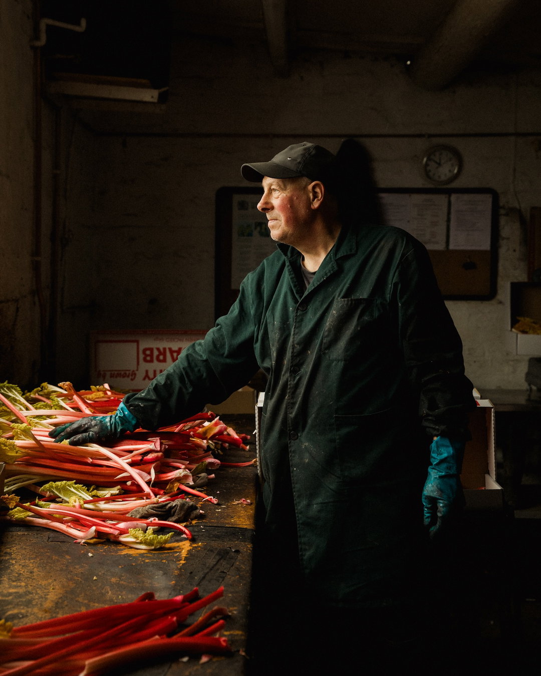 elena-heatherwick-the-rhubarb-triangle-film-photography-itsnicethat-10.jpg