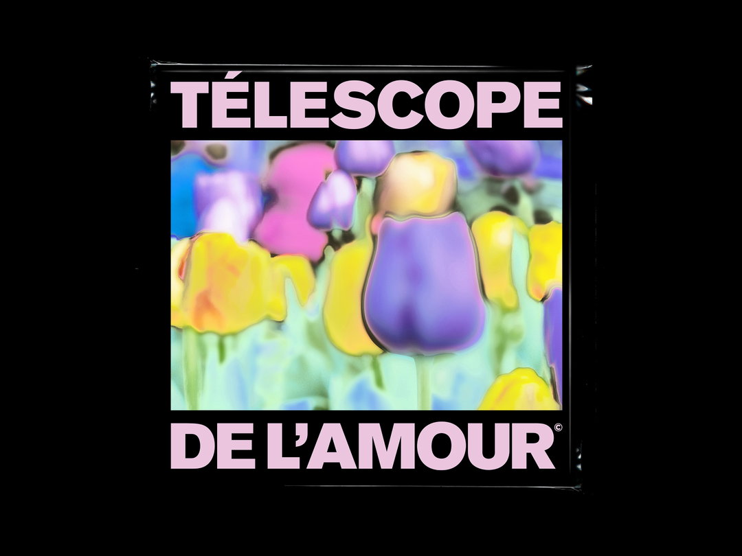 elise-rigollet-graphic-design-itsnicethat-11.jpg