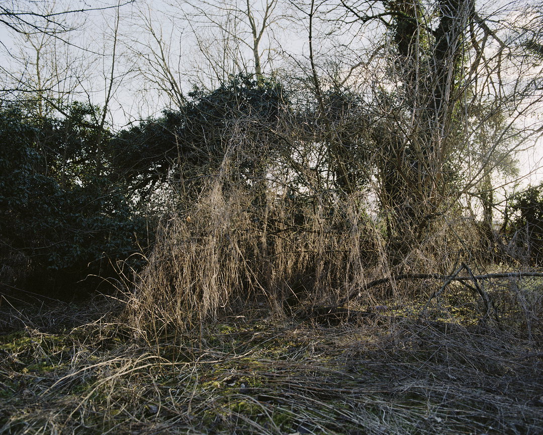 emily-graham-dirft-photography-itsnicethat-01.jpg
