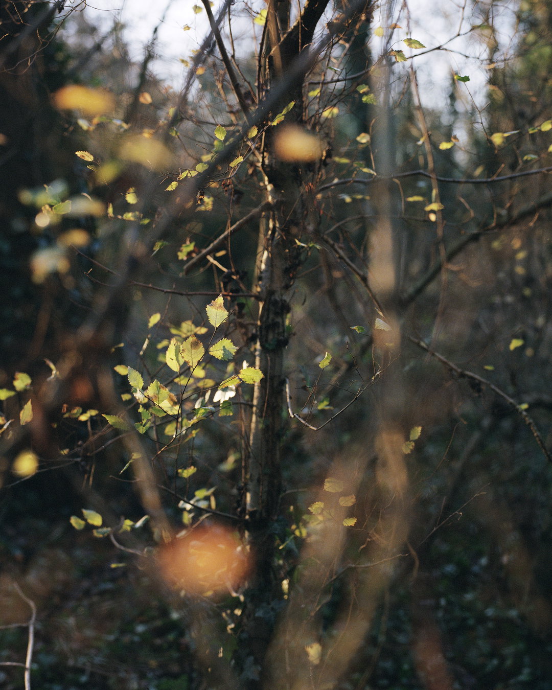 emily-graham-dirft-photography-itsnicethat-03.jpg