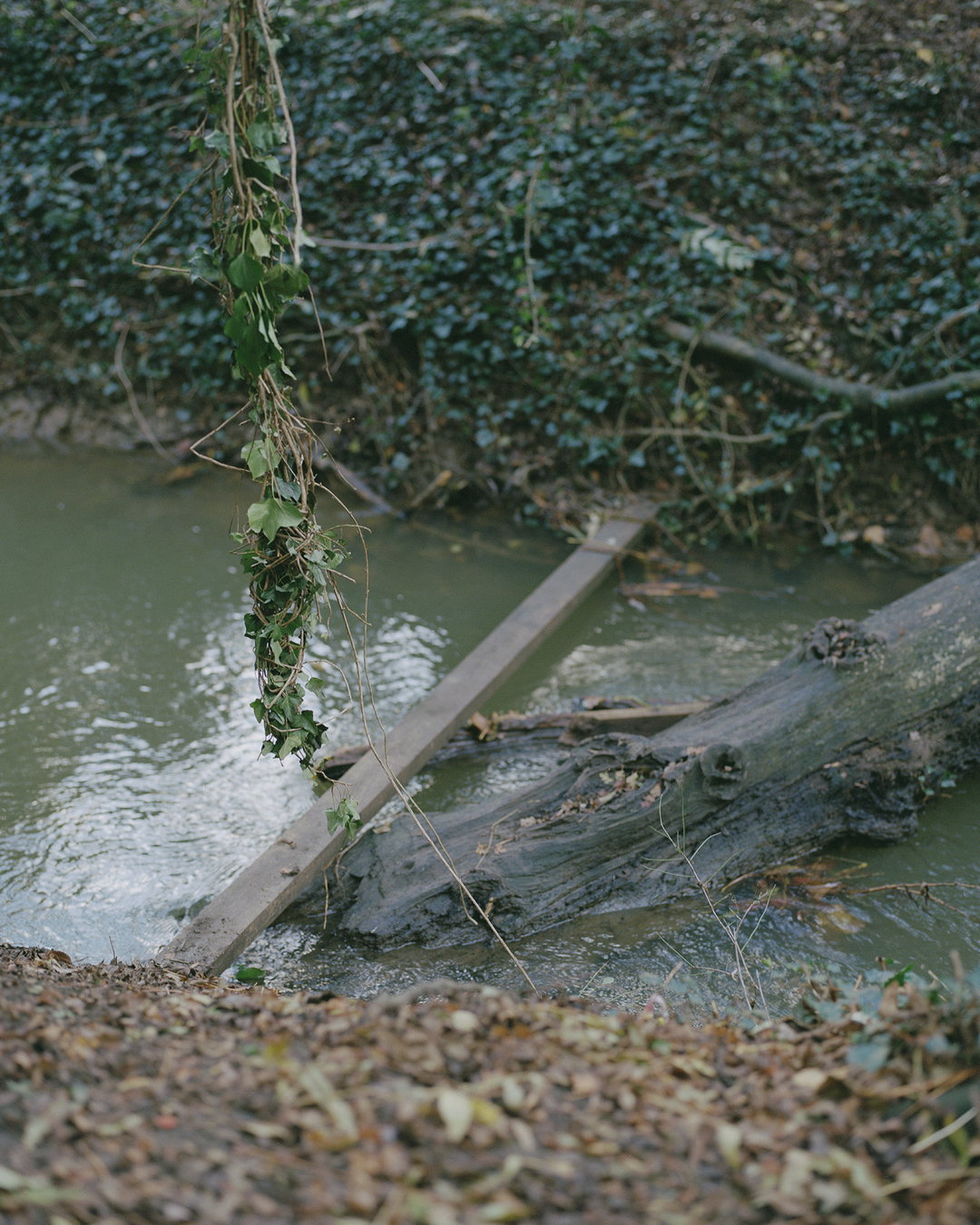 emily-graham-dirft-photography-itsnicethat-05.jpg