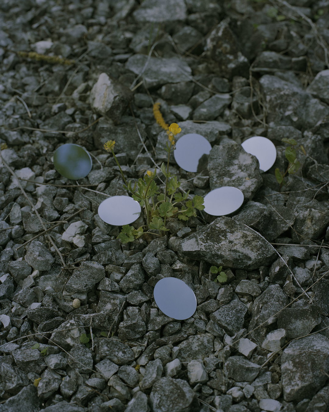 emily-graham-dirft-photography-itsnicethat-13.jpg