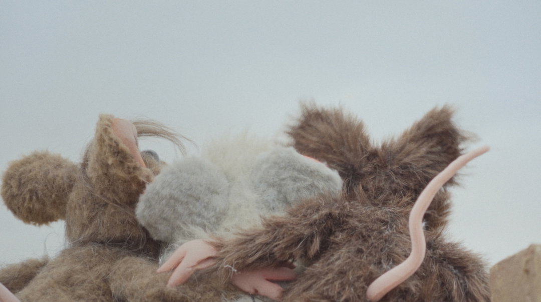 emily-morus-jones-ffdiomysus-film-itsnicethat-02.jpg