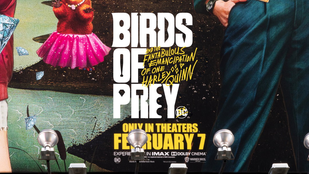 emily oberman pentagram birds of prey harley quinn graphic design itsnicethat8.jpg