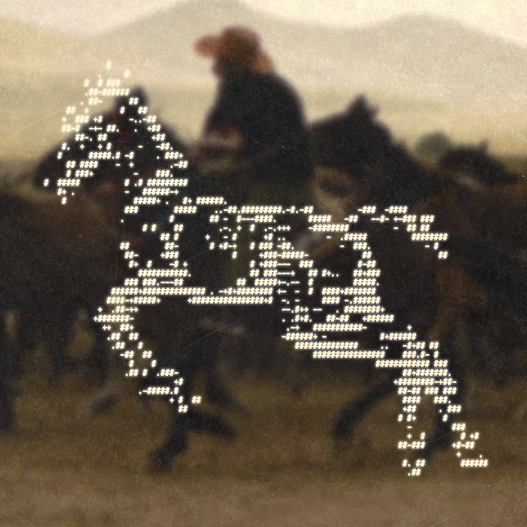 enigmatriz-art-inthorse. (ascii x photograph explorations) - (Copyright © enigmatriz, 2024).jpg