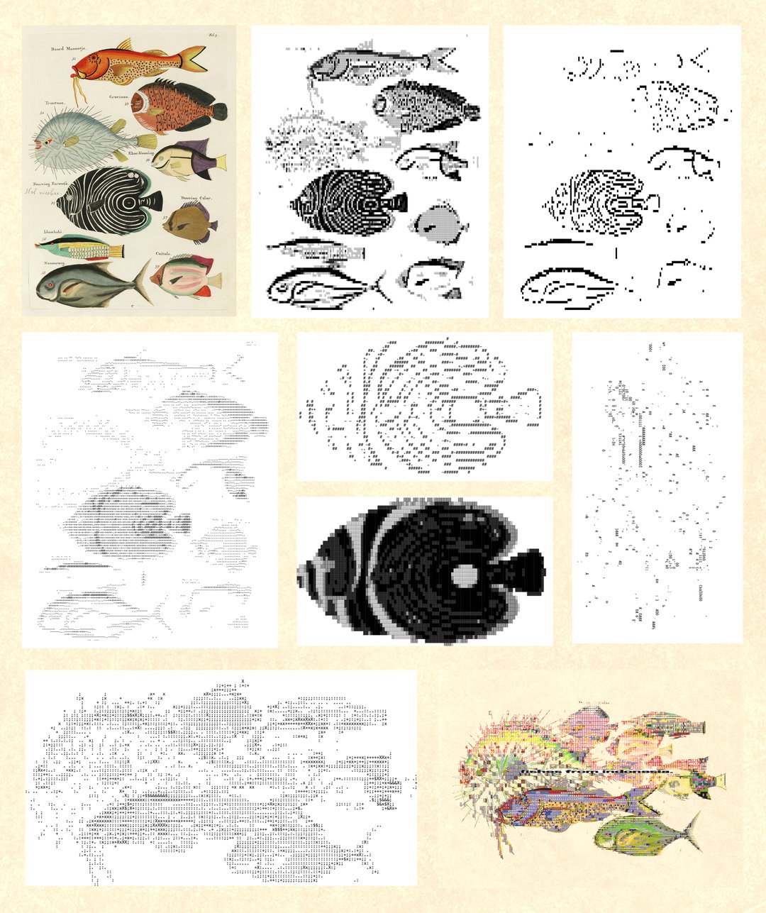 enigmatriz-art-intprocess for _fishes from indonesia._.jpg