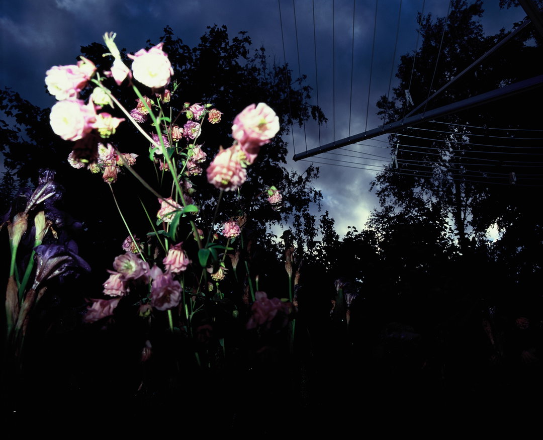 erika-kamano-work-photography-itsnicethat-3.JPG