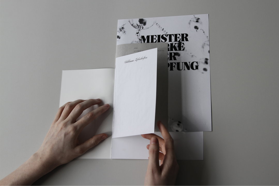 claudia-de-la-torre-gd-discover-itsnicethat-04