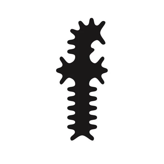 ItsNiceThat-TodayAtApple-CreativeGuide-StudioNari-Inspiration16.png