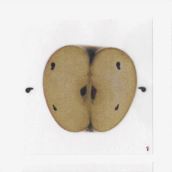 daniela-doe-art-discover-itsnicethat-08