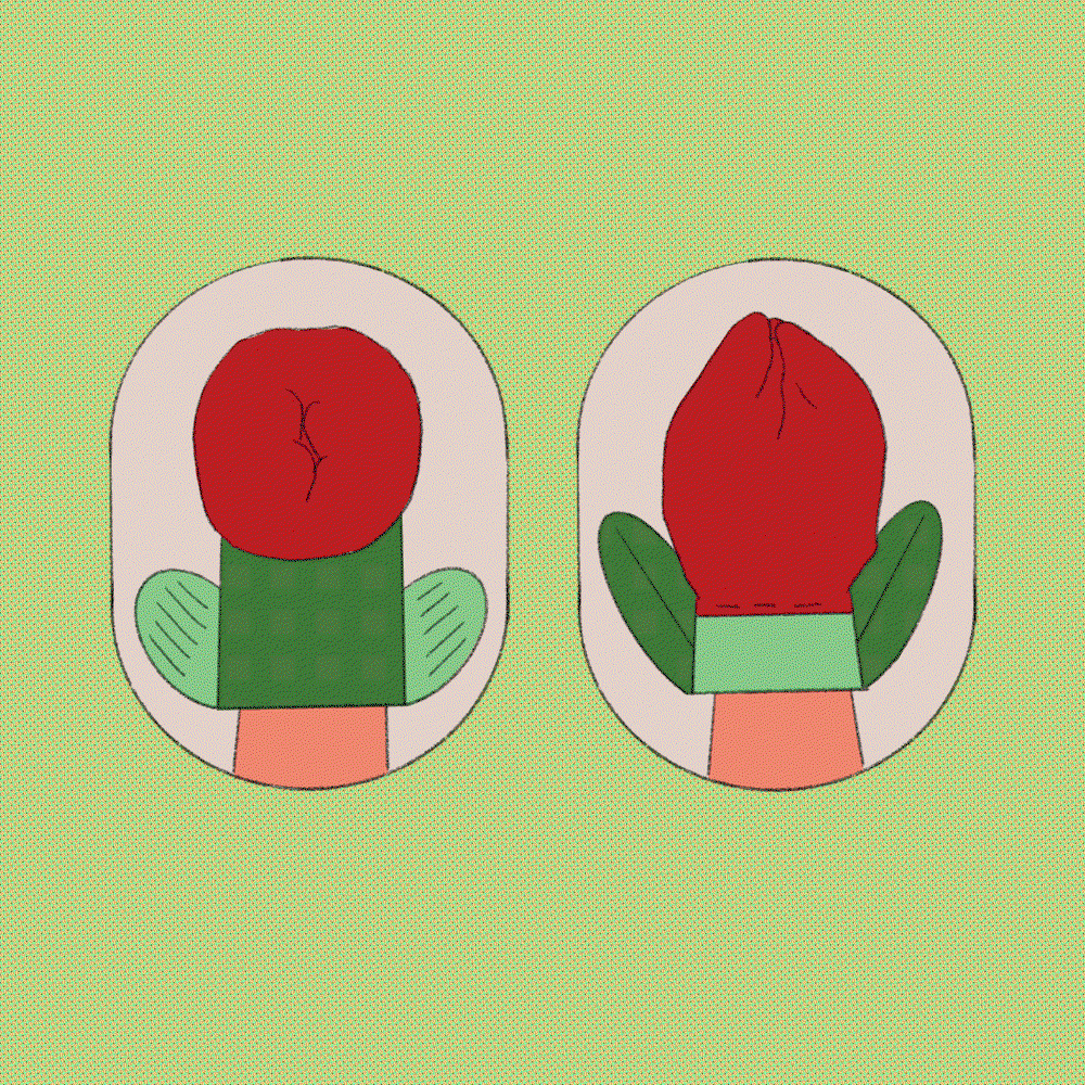 chou-ani-illo-itsnicethat09