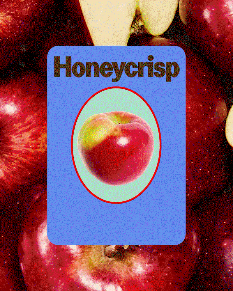 Blurr-Bureau-Yes-Apples-branding-project-itsnicethat-15