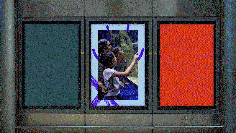 Anatomy-Horniman-museum-graphic-design-project-itsnicethat-09