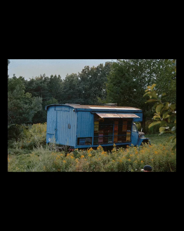 ezgif.com-video-to-gif (1).gif
