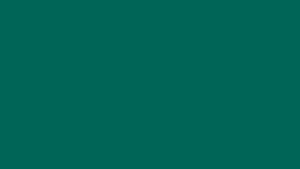 ezgif.com-video-to-gif (1).gif