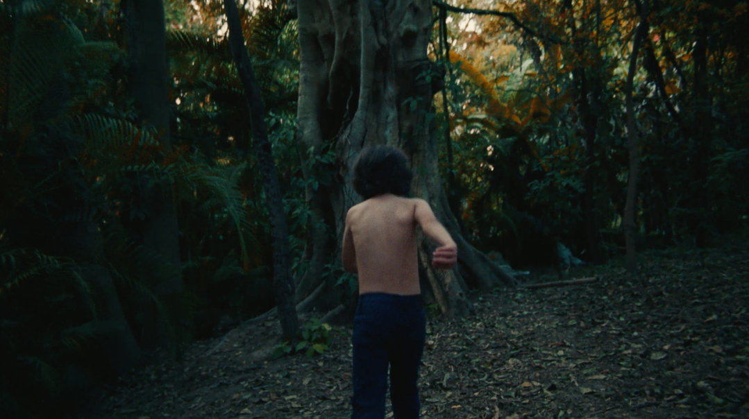 farm-league-film-sponsored-content-itsnicethat-09.jpg