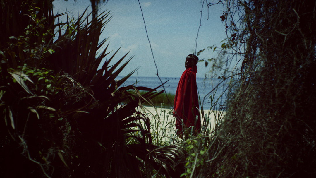 feathers-a-v-rockwell-film-itsnicethat-03.jpg