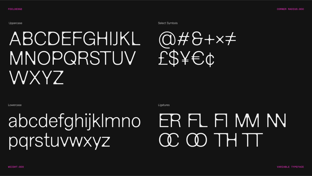 feeld-rebrand-graphic-design-itsnicethat-17.jpg