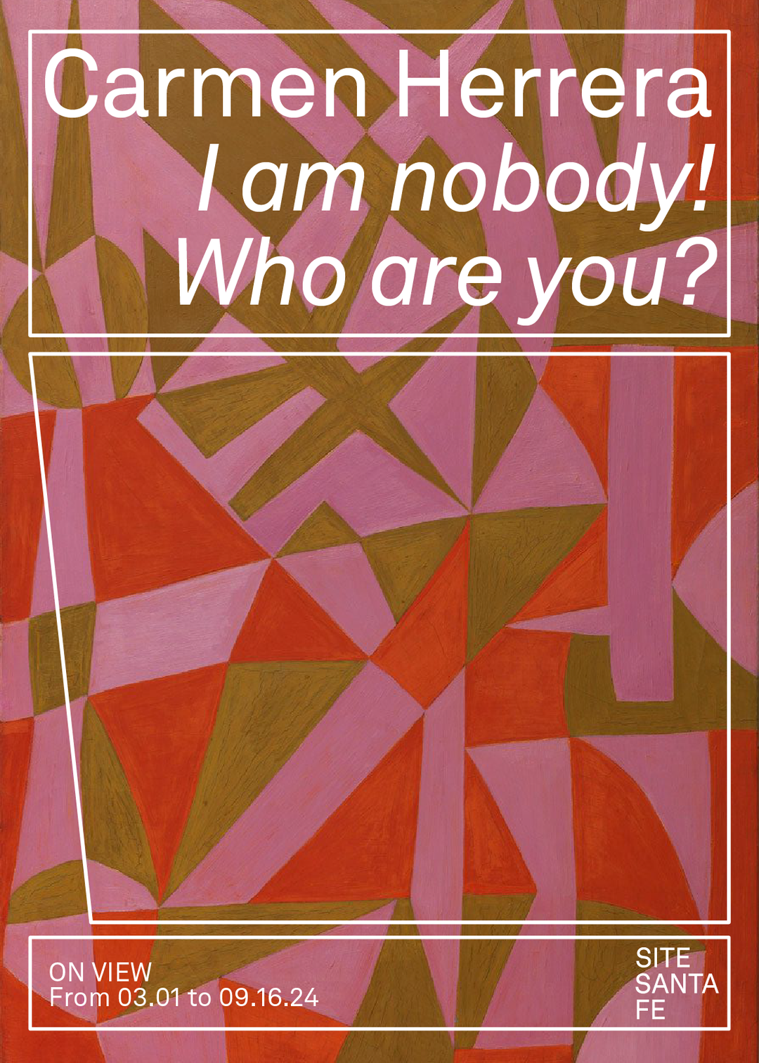 felicidad-publica-site-santa-fe-graphic-design-itsnicethat-01.png