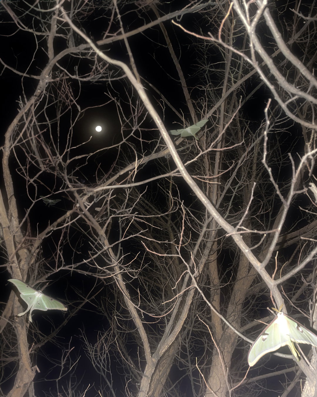 female-pentimento-photography-digital-spotlight-itsnicethat-05.jpg