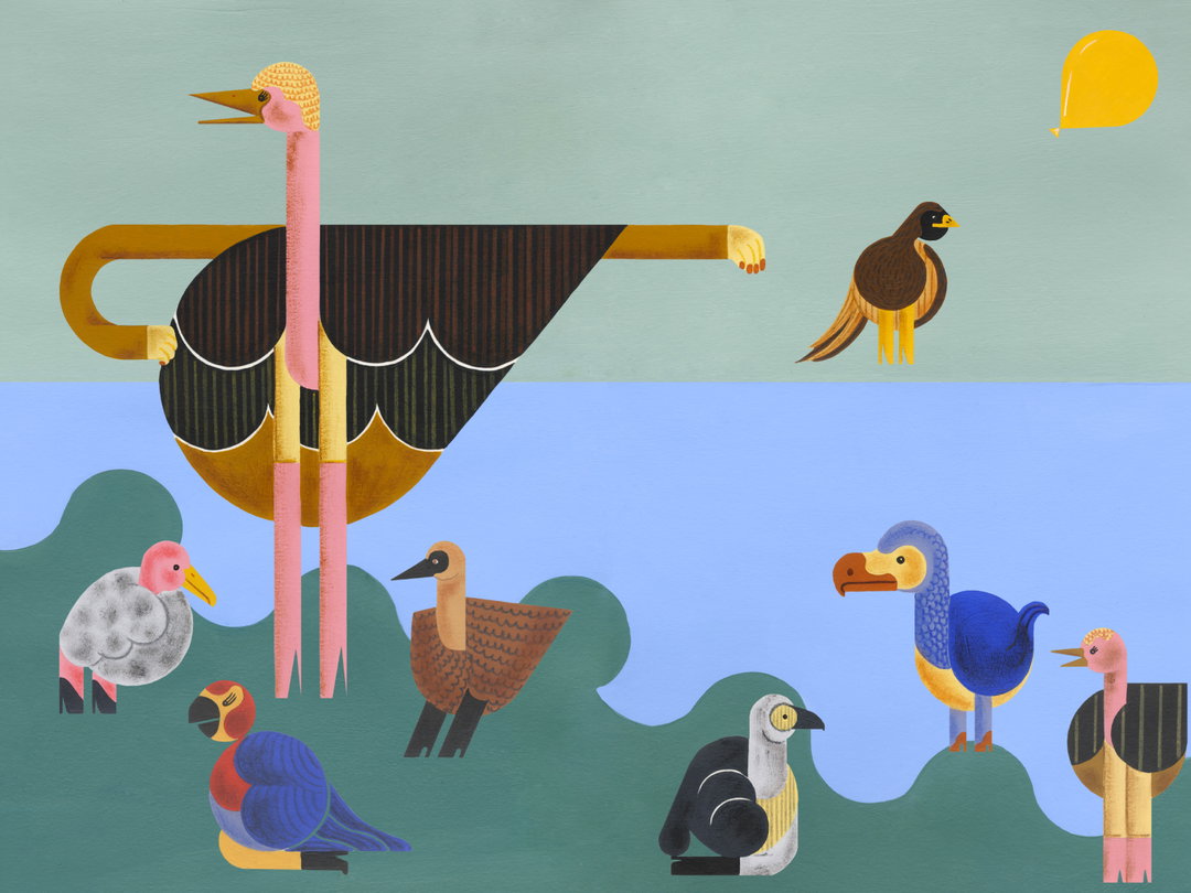 stephany-lozano-illo-detective-itsnicethat01