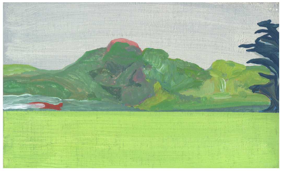 flore-chemin-illustration-itsnicethat-08.jpg