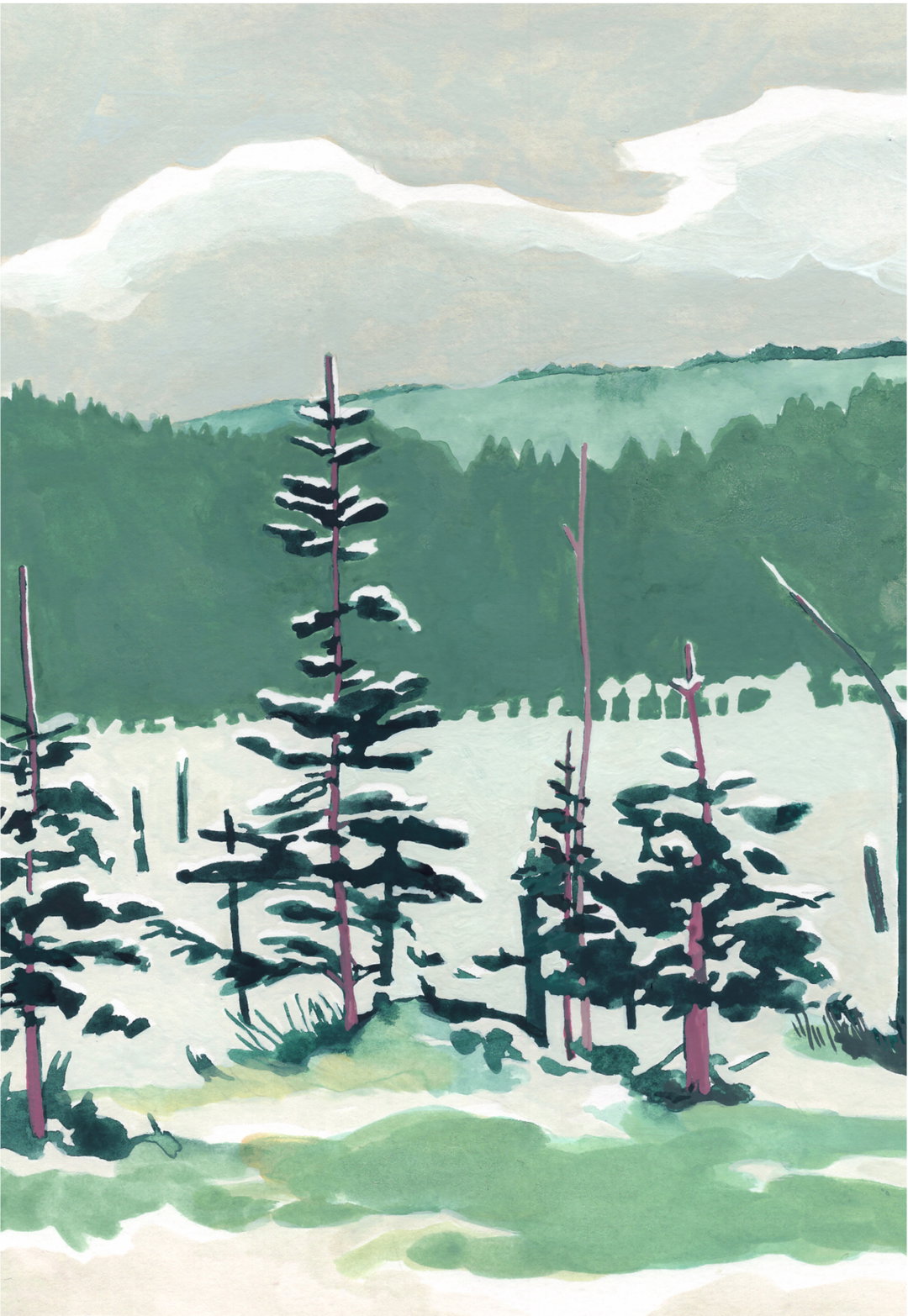 For artist Frannie Wise, “Nature with all of its characters and colours are my biggest inspiration”