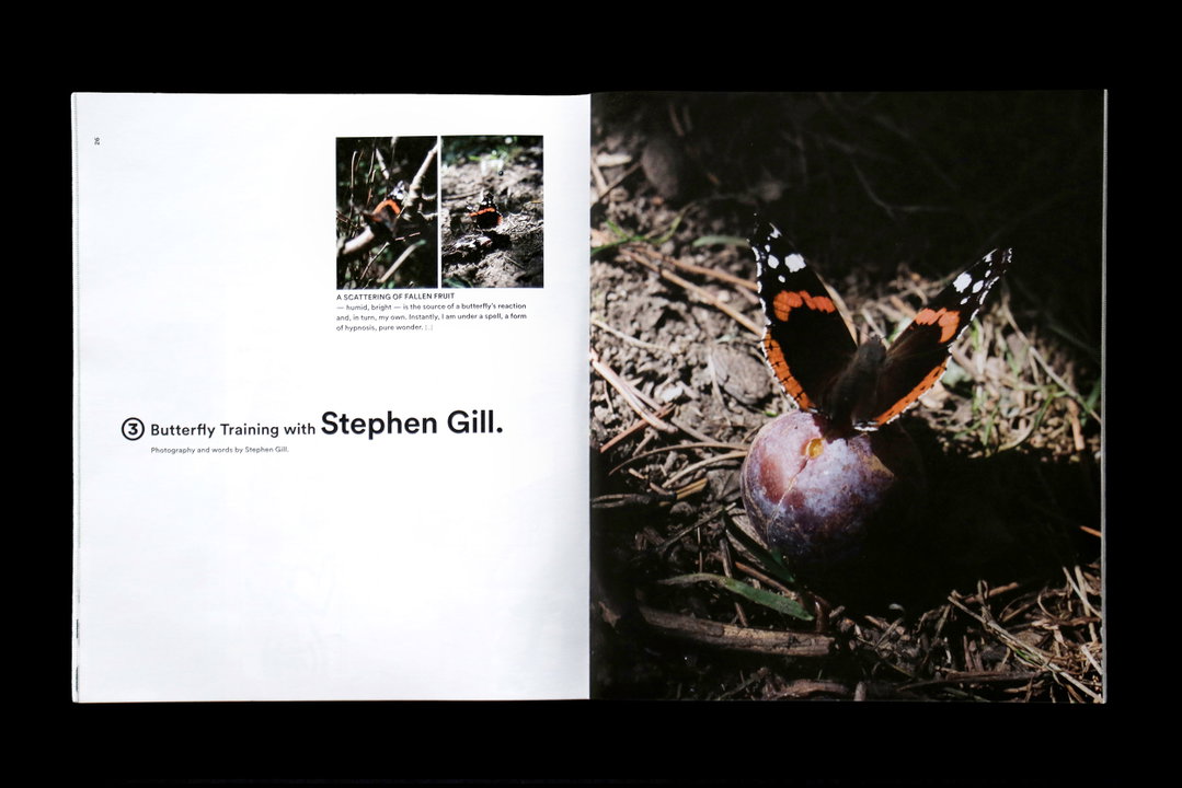 free-time-magazine-publication-itsnicethat-13.jpg