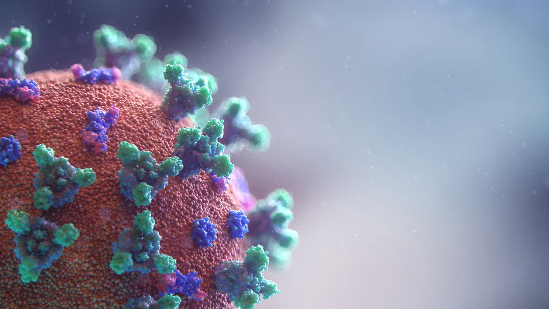 fusion-medical-animation-covid-19.jpg