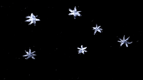 gaia-alari-illo-itsnicethatwhatcomesatnight.gif