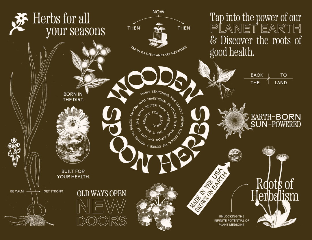 gander-wooden-spoon-herbs-graphic-design-itsnicethat-04.jpg