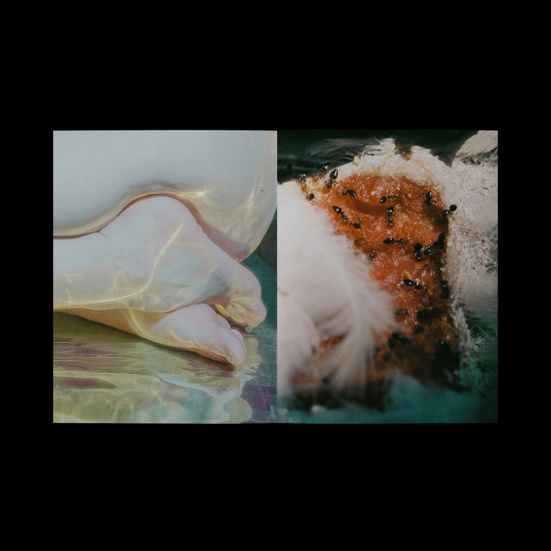 gaze-publication-itsnicethat-05.jpeg